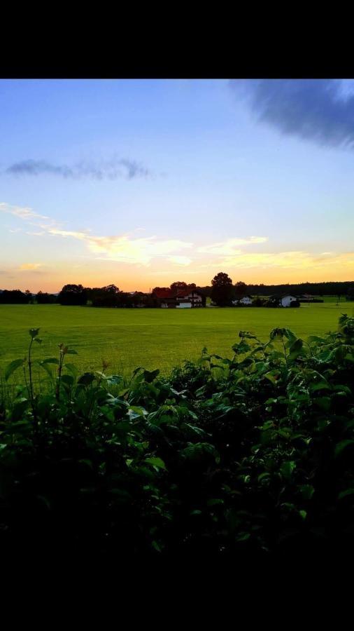 Ferienhof Oberhuber Staudach-Egerndach Buitenkant foto