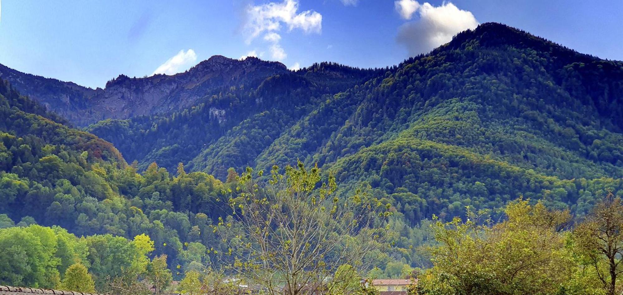 Ferienhof Oberhuber Staudach-Egerndach Buitenkant foto